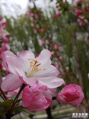想坐著休息但是找不到椅子