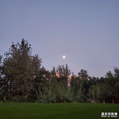 那年夏天，一場悲傷的夢