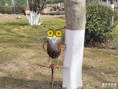 【周末拍點啥】+童趣