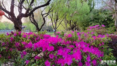 【周末拍點(diǎn)啥】三月中的記錄