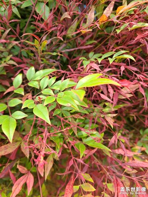 春分十里不如你