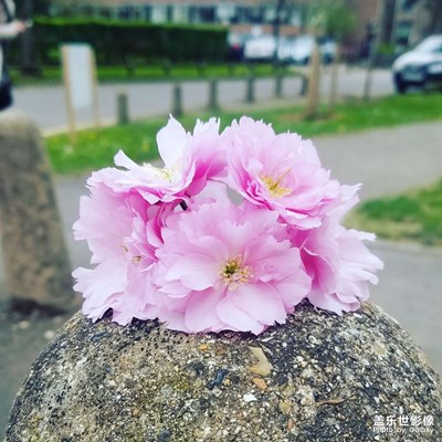 從S7到S21U,照片質(zhì)量提升了嗎