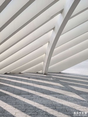 【周末拍點(diǎn)啥】+ 歡樂港灣