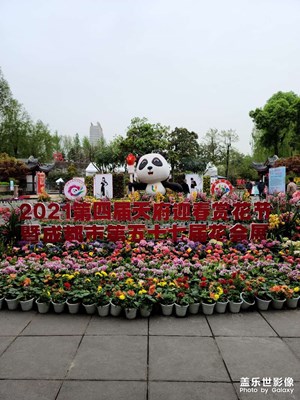 成都風(fēng)景風(fēng)景一角