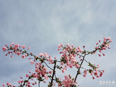 沒什么，只看看