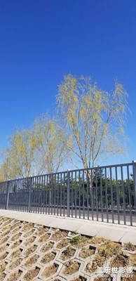 【周末拍點啥】隨手拍