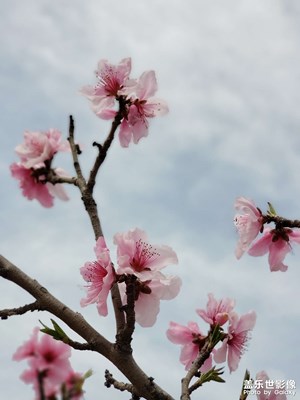 我的蒼天啊~！