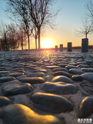 【周末拍點(diǎn)啥】＋郊野公園的傍晚