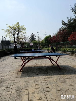 乒乓休閑運(yùn)動(dòng)