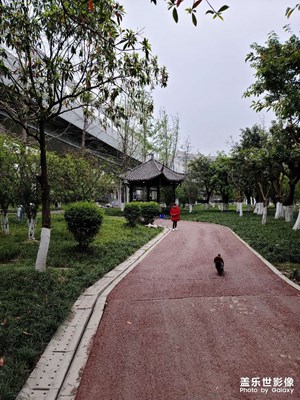 三星1.08億像素拍的美景！