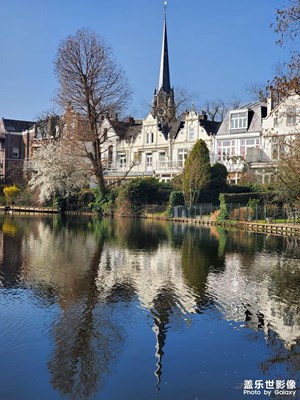 城市綠肺的中央