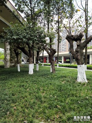 感受三行為1.08億像素