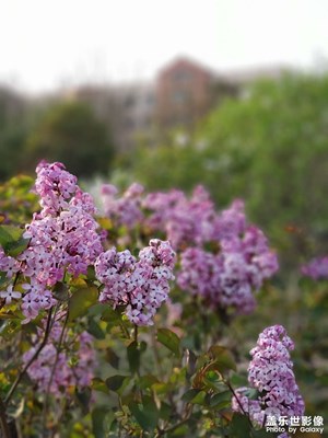 吃晚飯后。。。