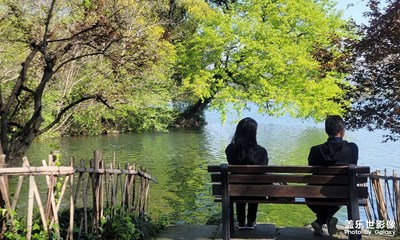 杭州西湖楊公堤邊
