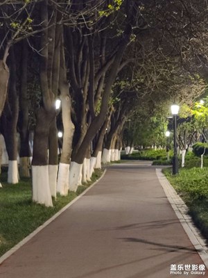 都市森林健康走廊