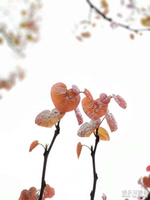 下雨的下午（1）