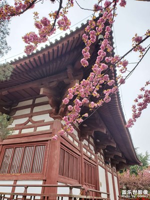 花有重開日，人無再少年！