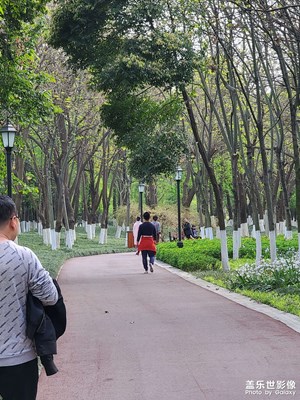 #星鮮創(chuàng)造營(yíng)# 都市健康之路