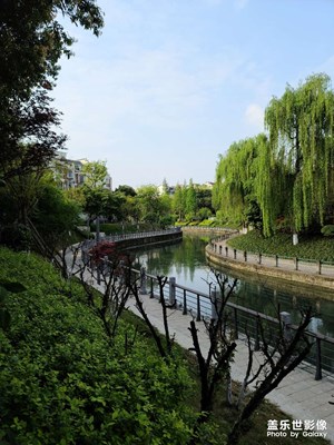 ＃星鮮創(chuàng)造營(yíng)＃森林健康之路