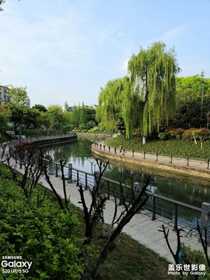 河邊春風(fēng)得意