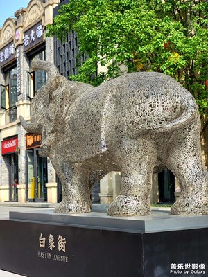每周一更：一條白象街，半部重慶史