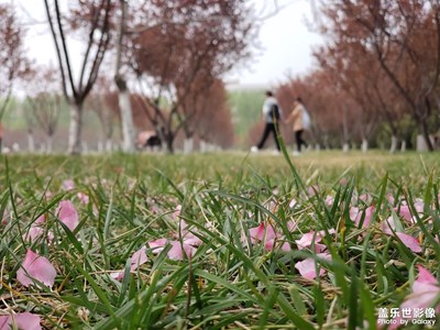 沒(méi)什么意思的周末