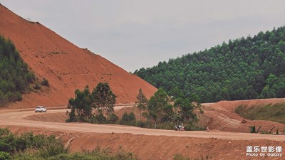 如果不知道要去做什么，就靜下心來欣賞大自然