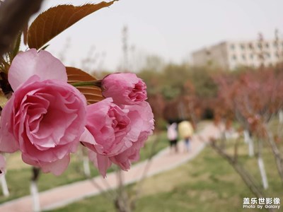 時(shí)間的游園。