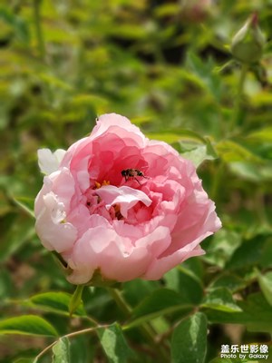 嗯。。。！