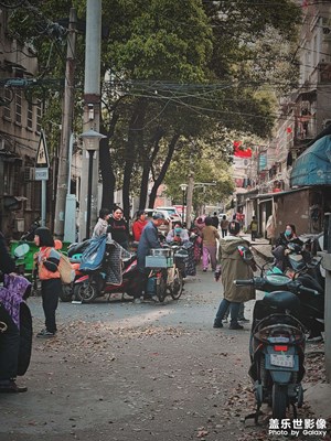 【新春星色彩】隨“星”而拍，隨“星”所見