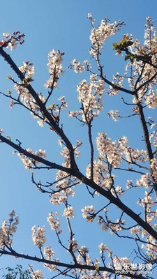 【新春星色彩】春天的步伐！