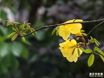 【百變天氣】+雨后風(fēng)鈴
