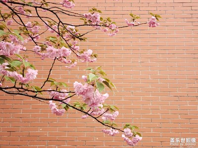 天天練習(xí)走路