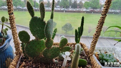 【新春星色彩】隨手拍