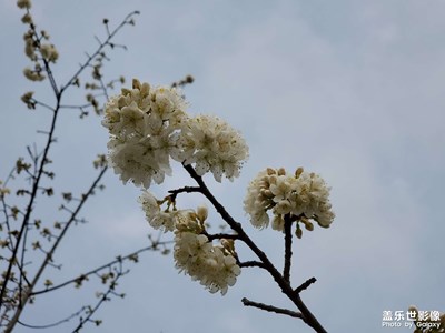 【新春星色彩】+出去逛逛