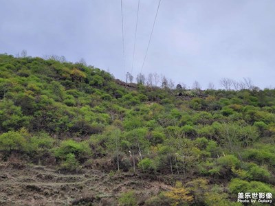 照片模糊還是技術(shù)問題？