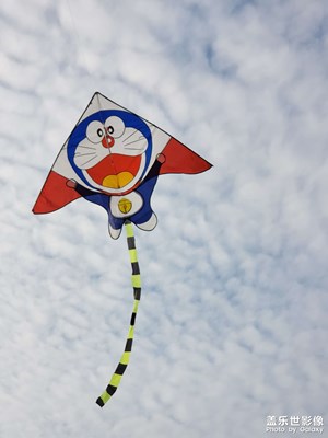 昨天拍的。（2）