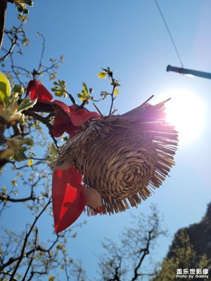 【新春星色彩】+薊州承德一日游