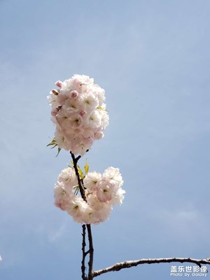 走一走，想一想。（2）