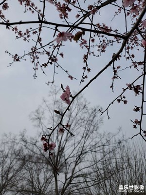 【角度與視覺】+公園小角