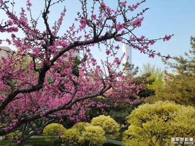 慶豐公園