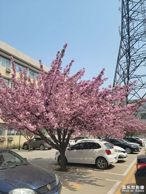 【角度與視覺】+隨手一拍