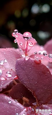 可愛(ài)的雨滴