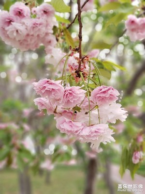 生活。。。