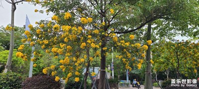 清晰度看看怎么樣