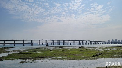 廈門大橋(集美學(xué)村)下的海邊風(fēng)景