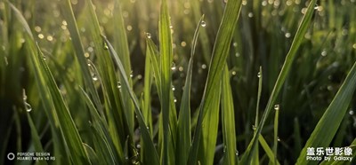 晨跑，不會錯過美好！