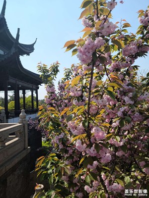 香山隨拍