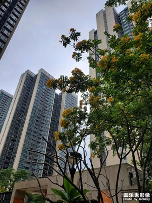 廣東天氣終于有入春感覺