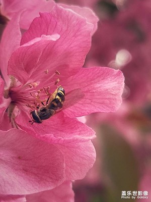 春天的花兒會(huì)開(kāi)